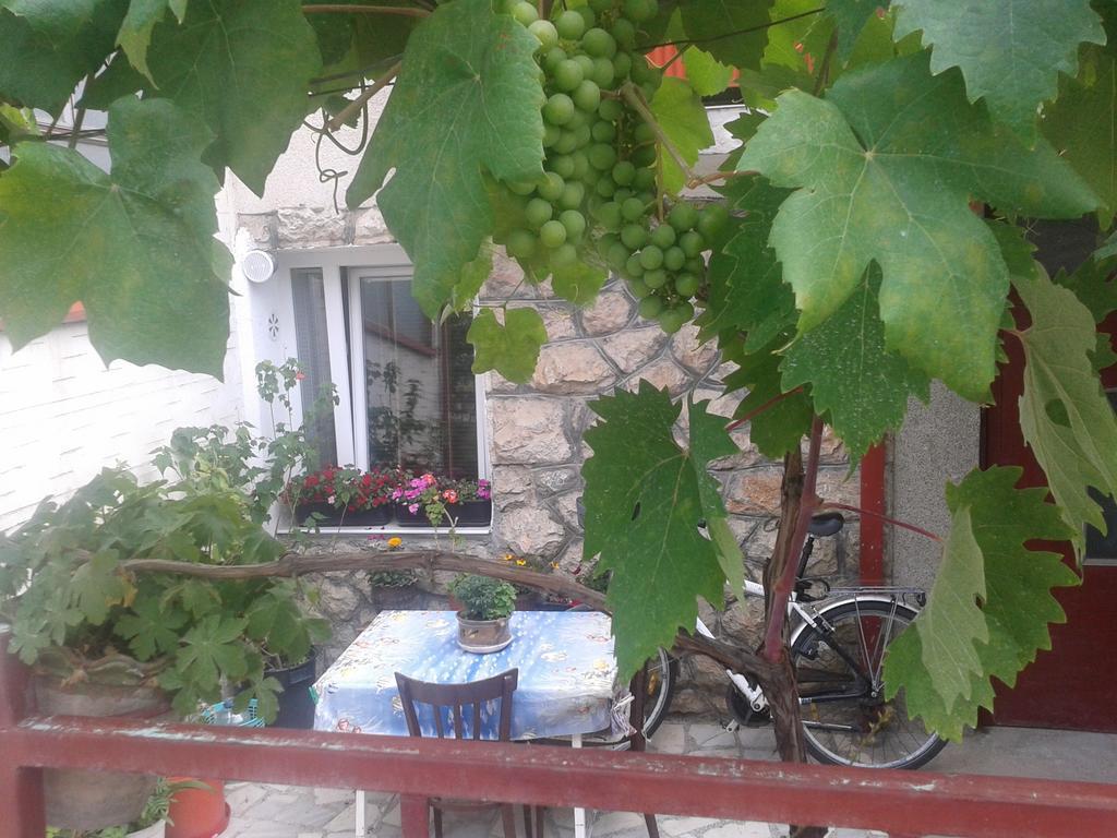 House Nativa Hotel Ohrid Eksteriør billede